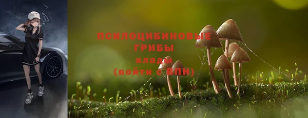 прущая мука Лагань