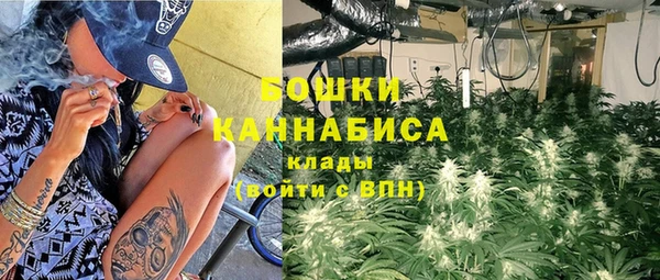 мет Пересвет