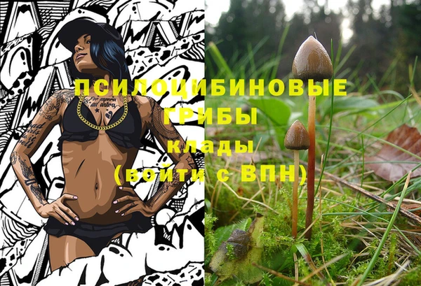 бутират Алзамай